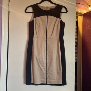 Ann Taylor Dress
